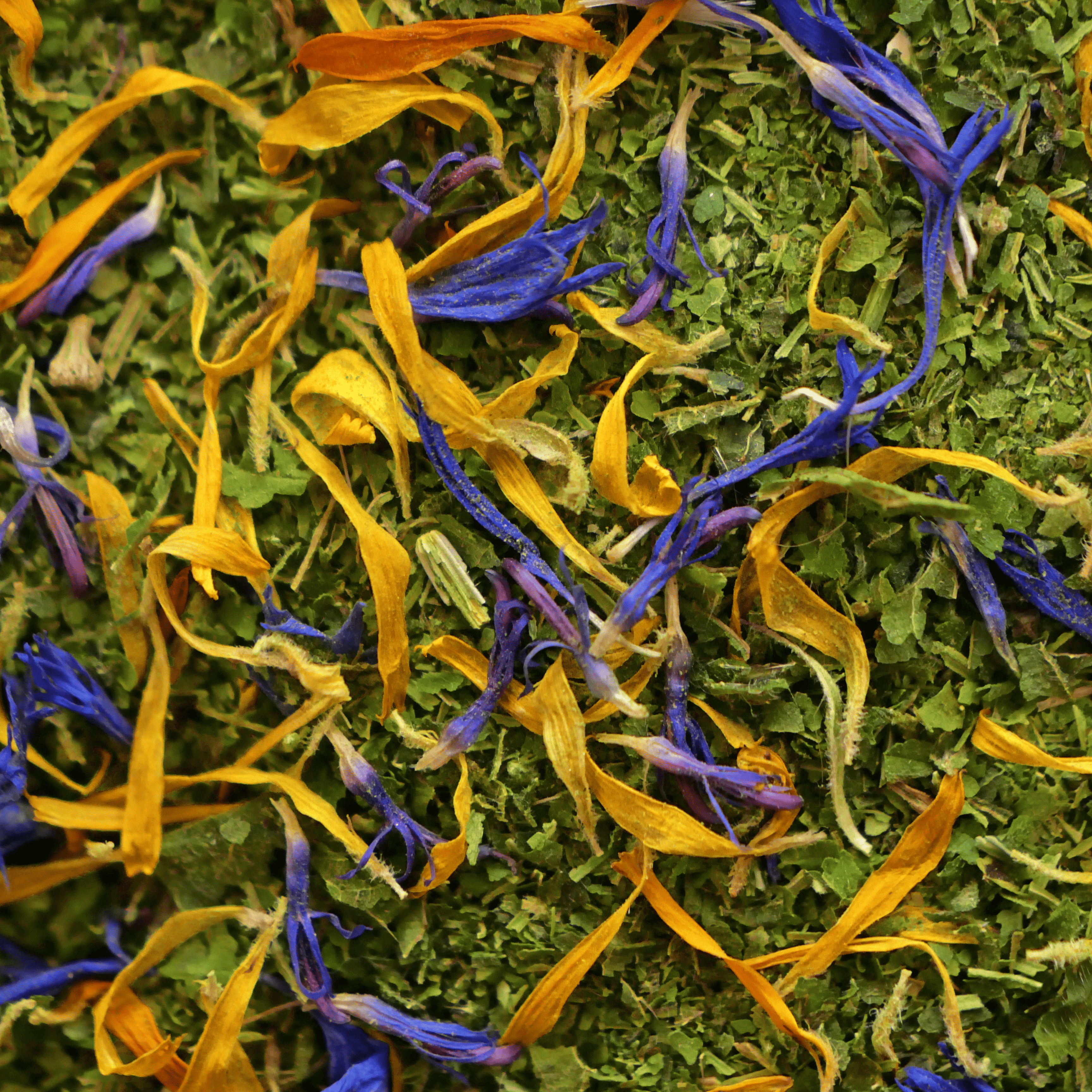 Paillettes Félicité