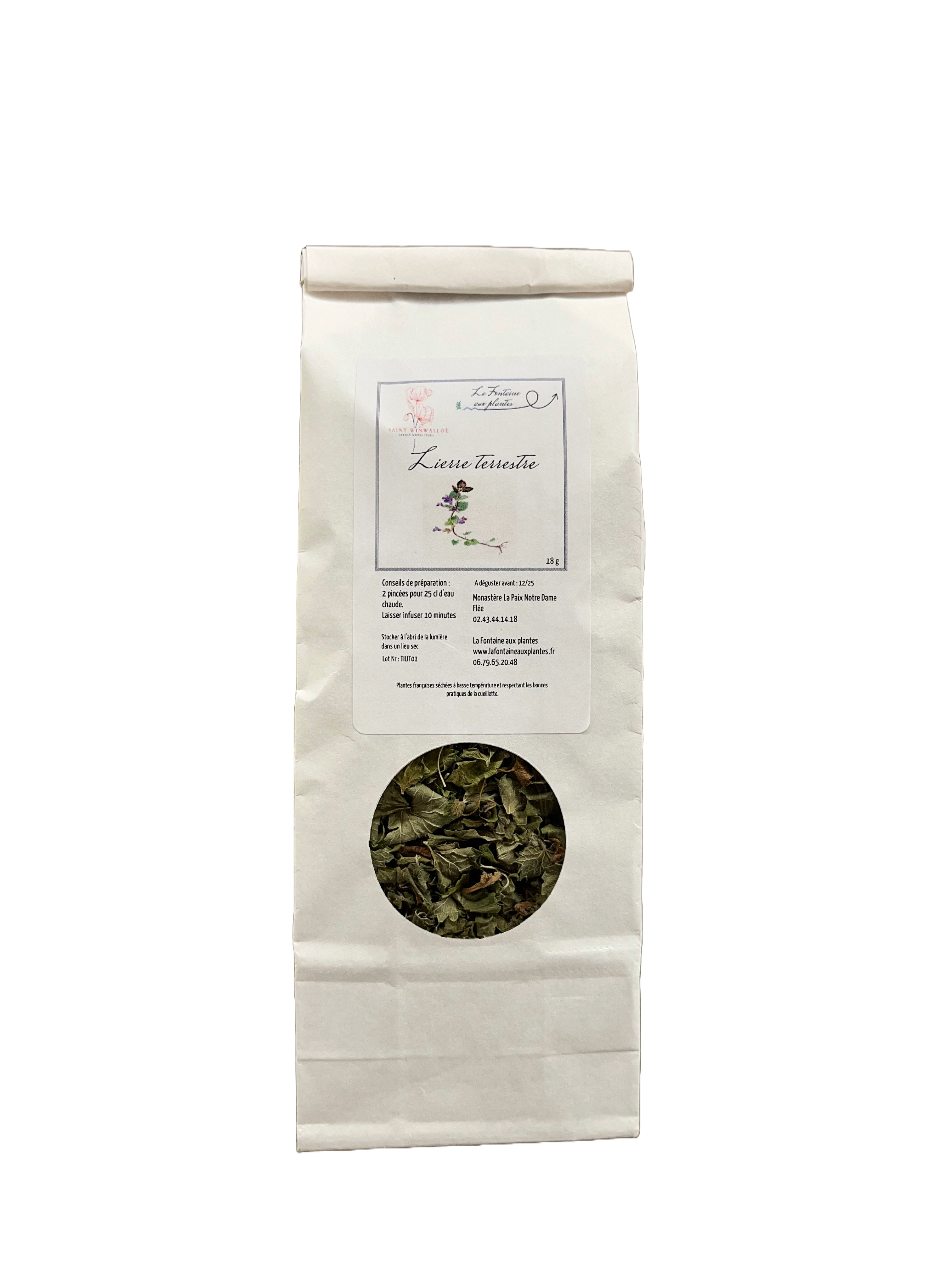 Tisane de Lierre terrestre