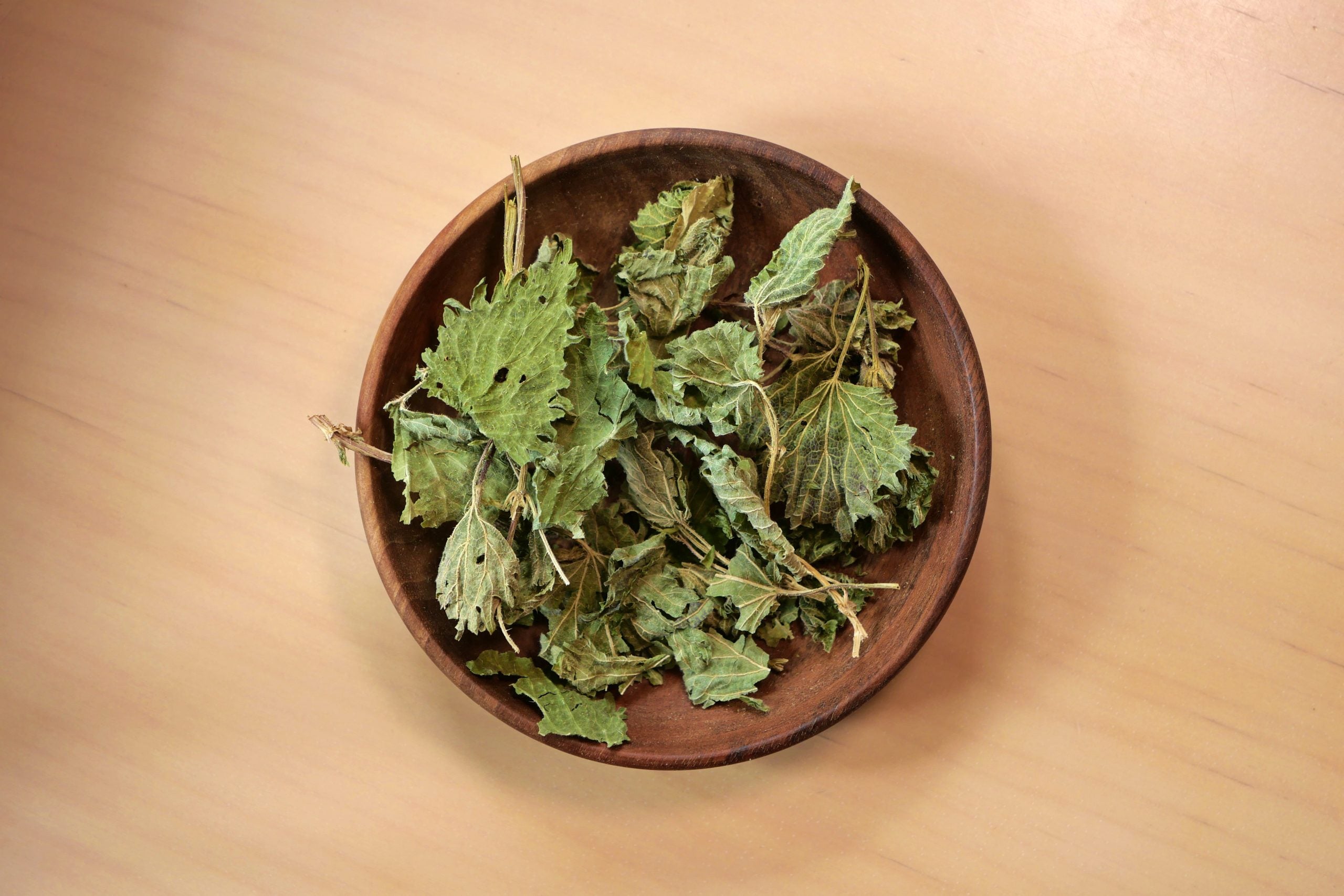 Tisane ortie