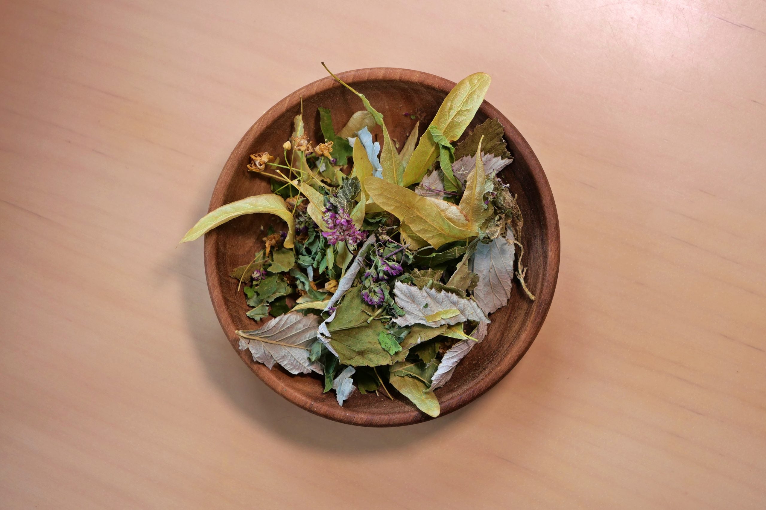 Tisane La Printanière