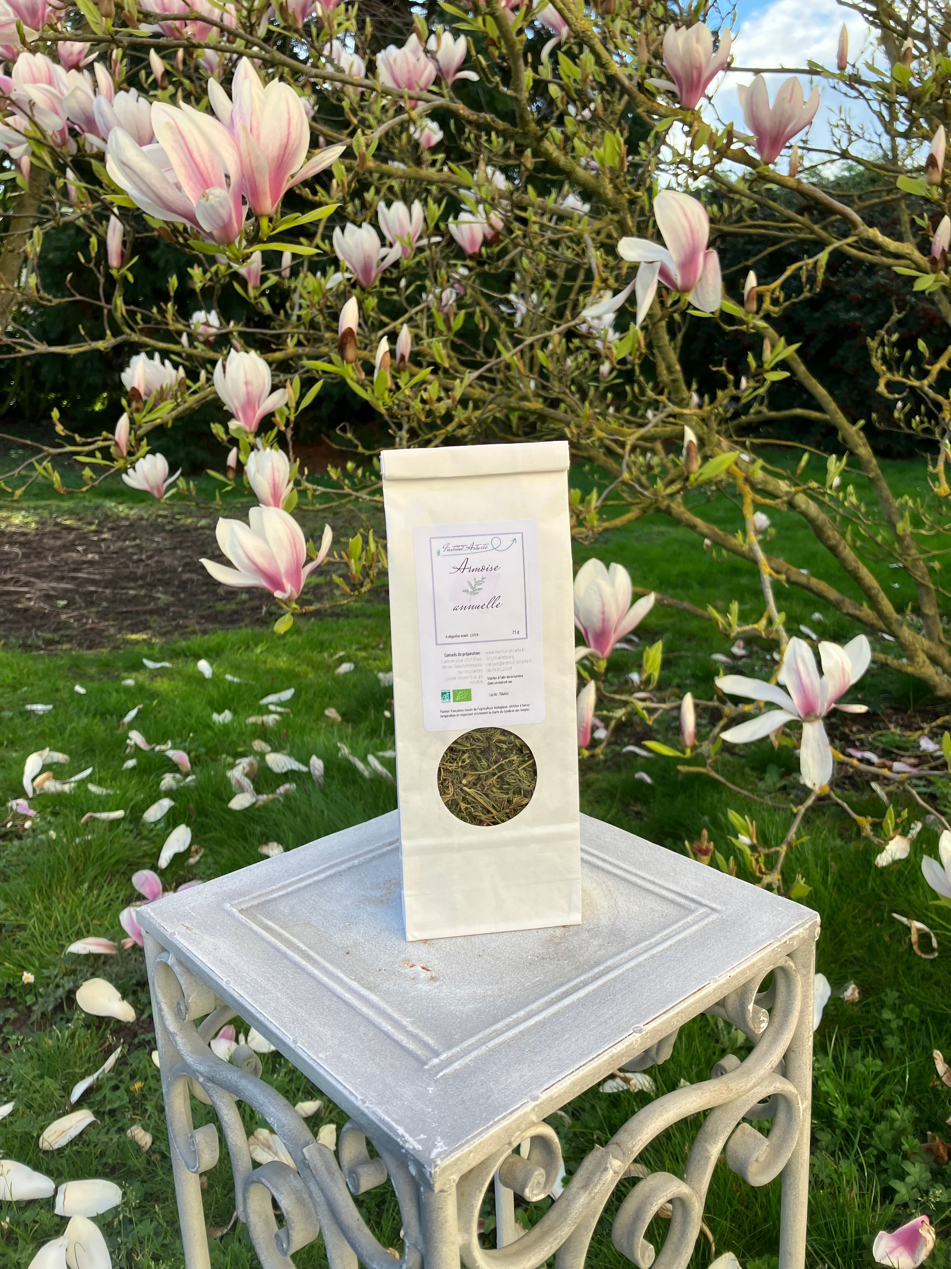 Tisane armoise annuelle