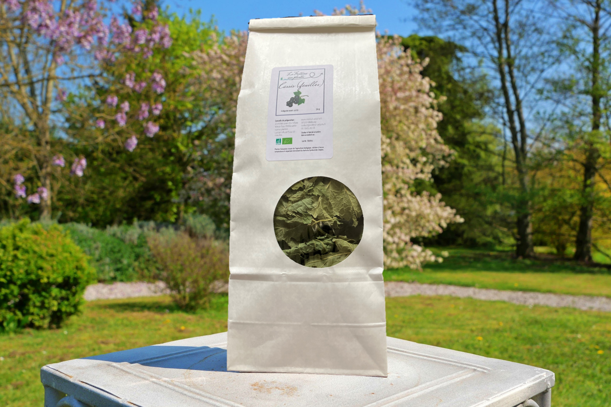 Tisane cassis