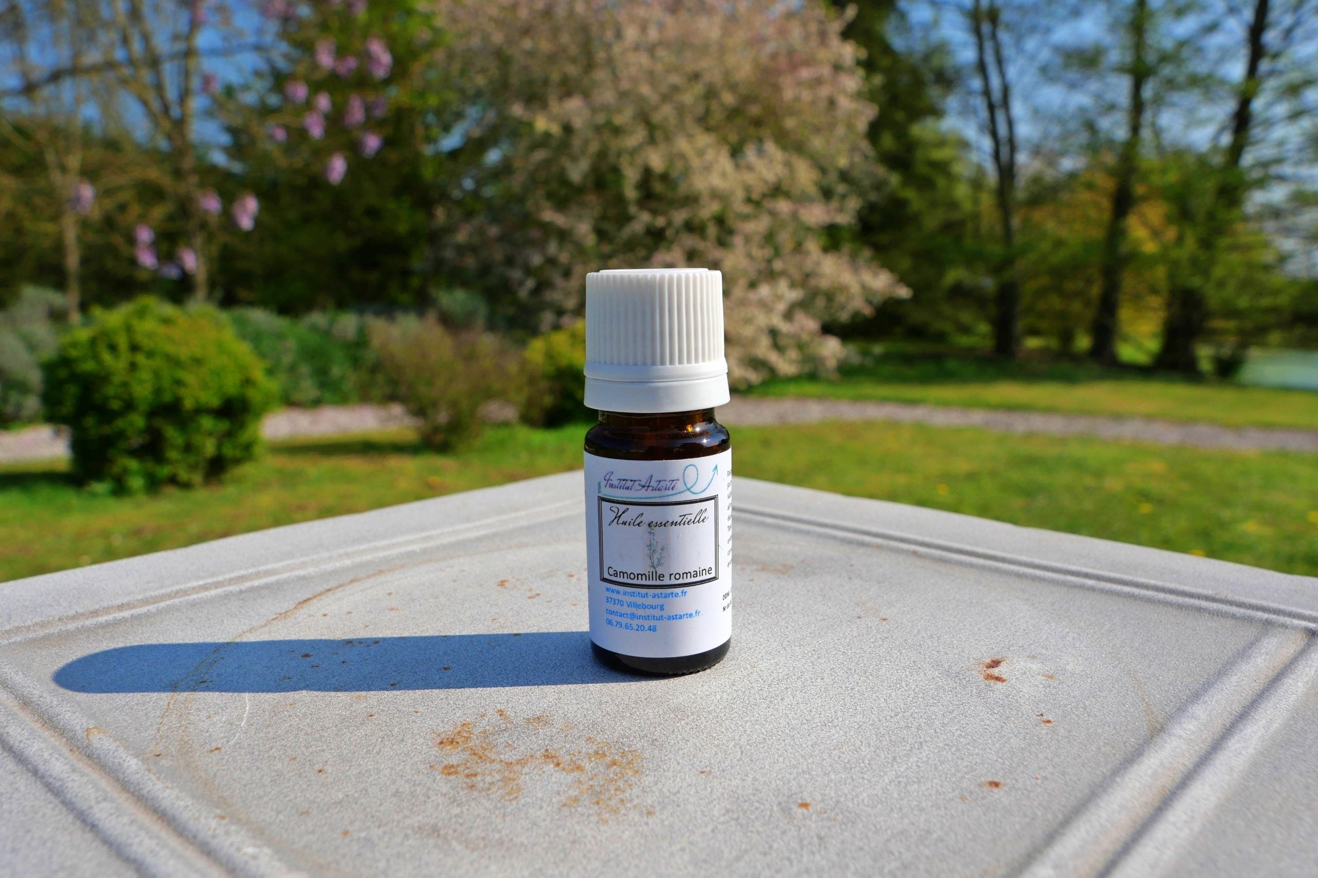 Huile essentielle camomille - La Fontaine aux Plantes