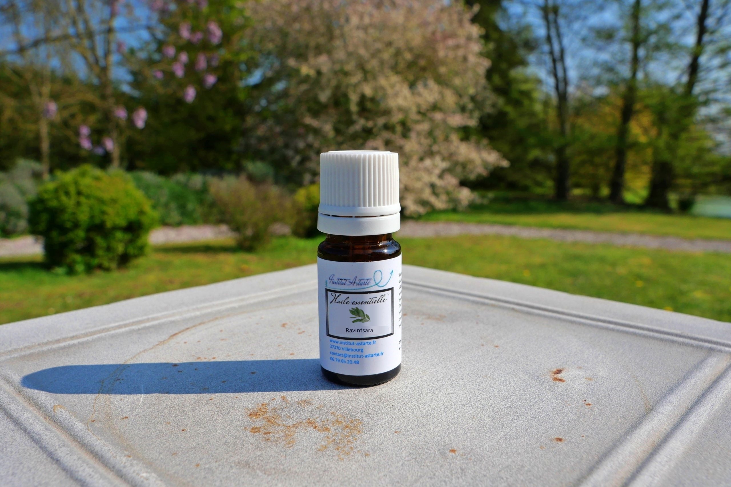 Huile essentielle Ravintsara - La Fontaine aux Plantes