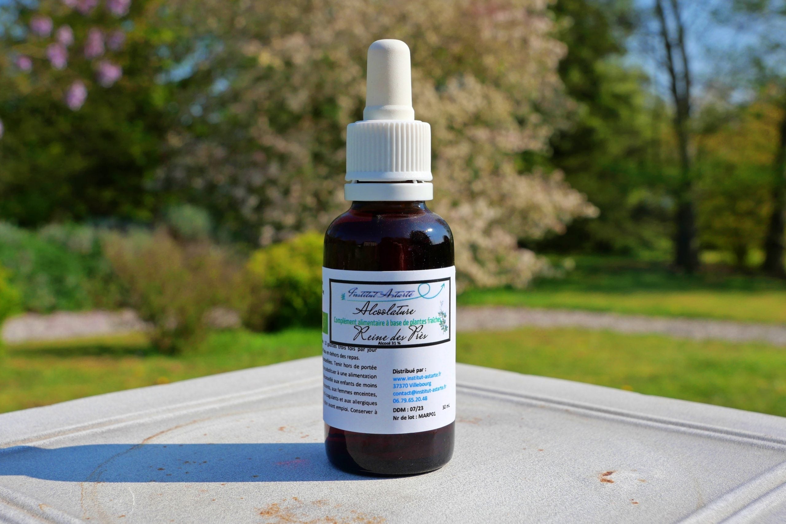 Macérat Reine des prés - La Fontaine aux Plantes