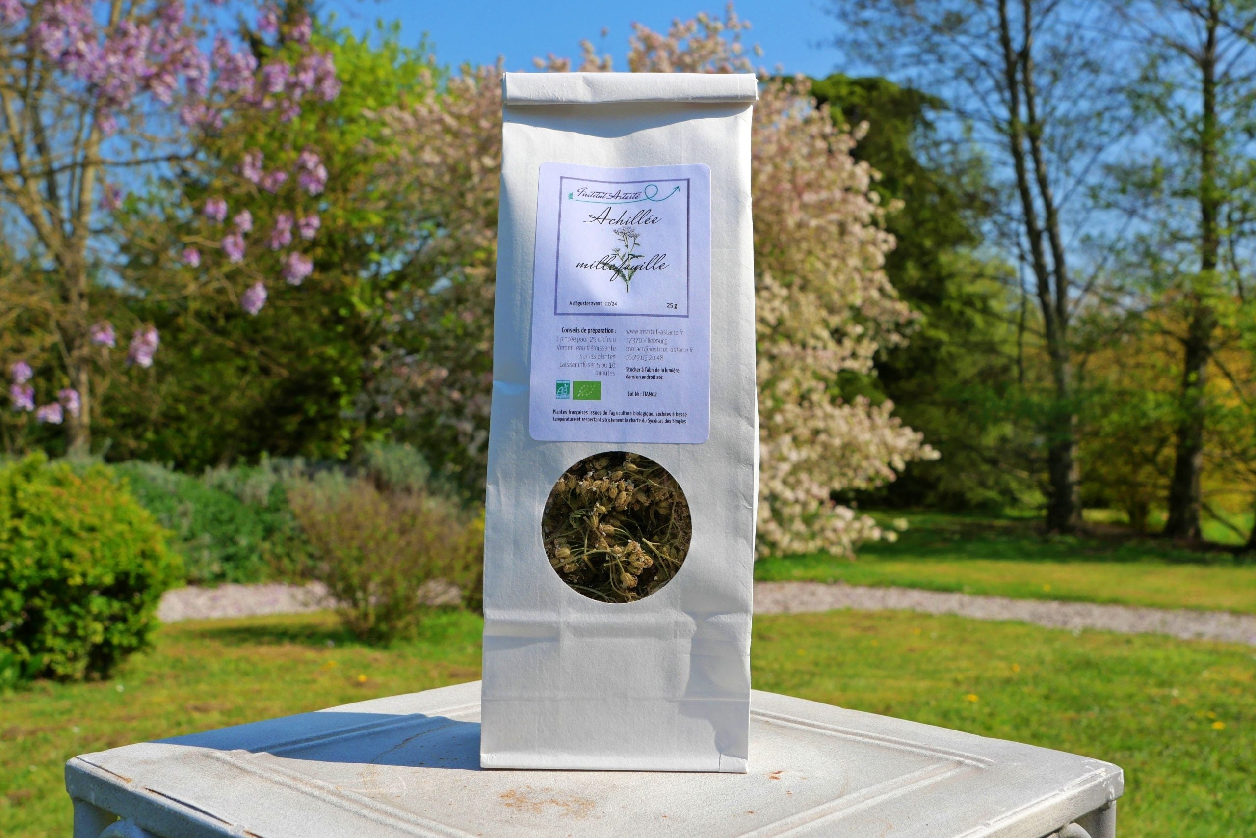 Tisane Achillée - La Fontaine aux Plantes