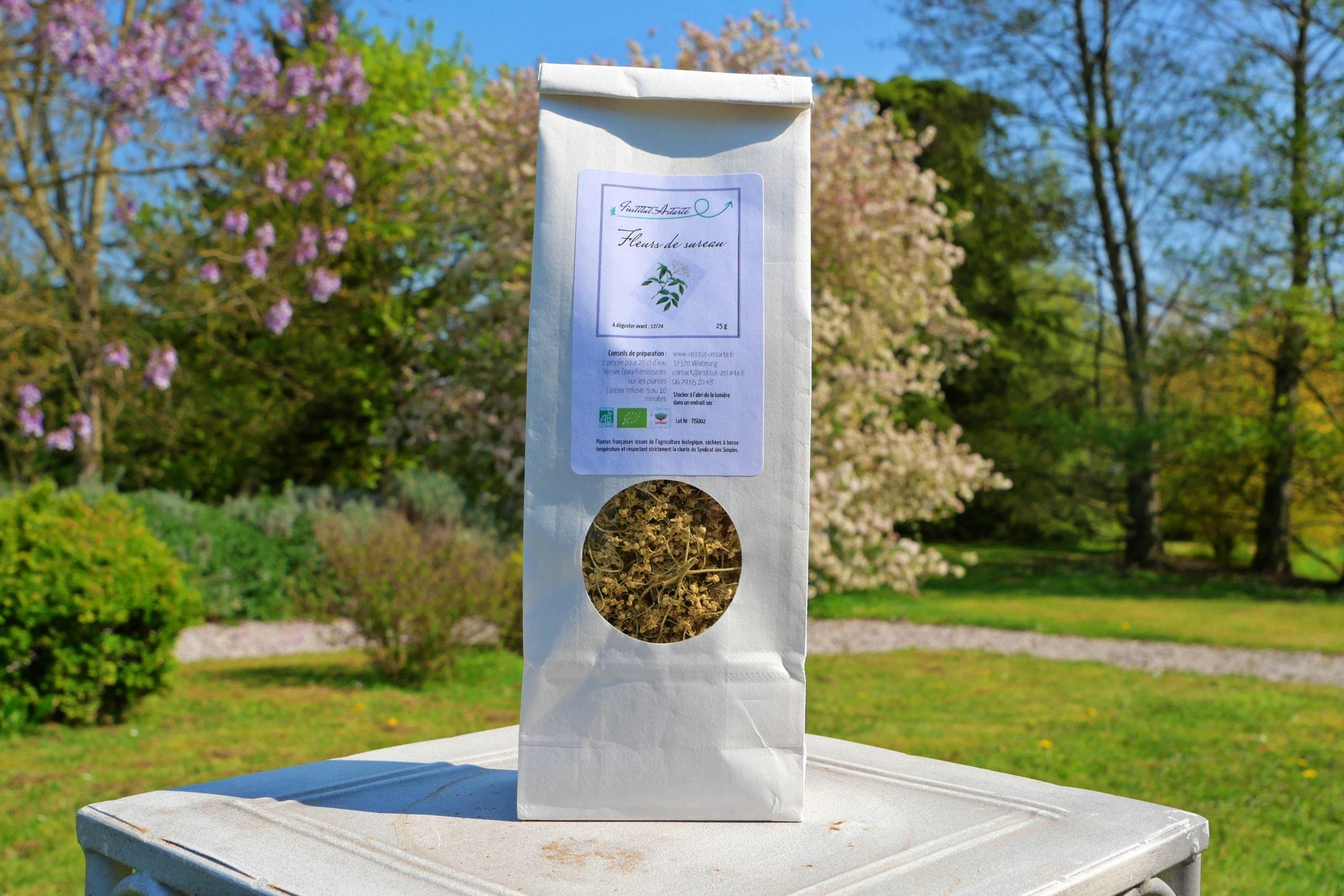 Tisane sureau - La Fontaine aux Plantes