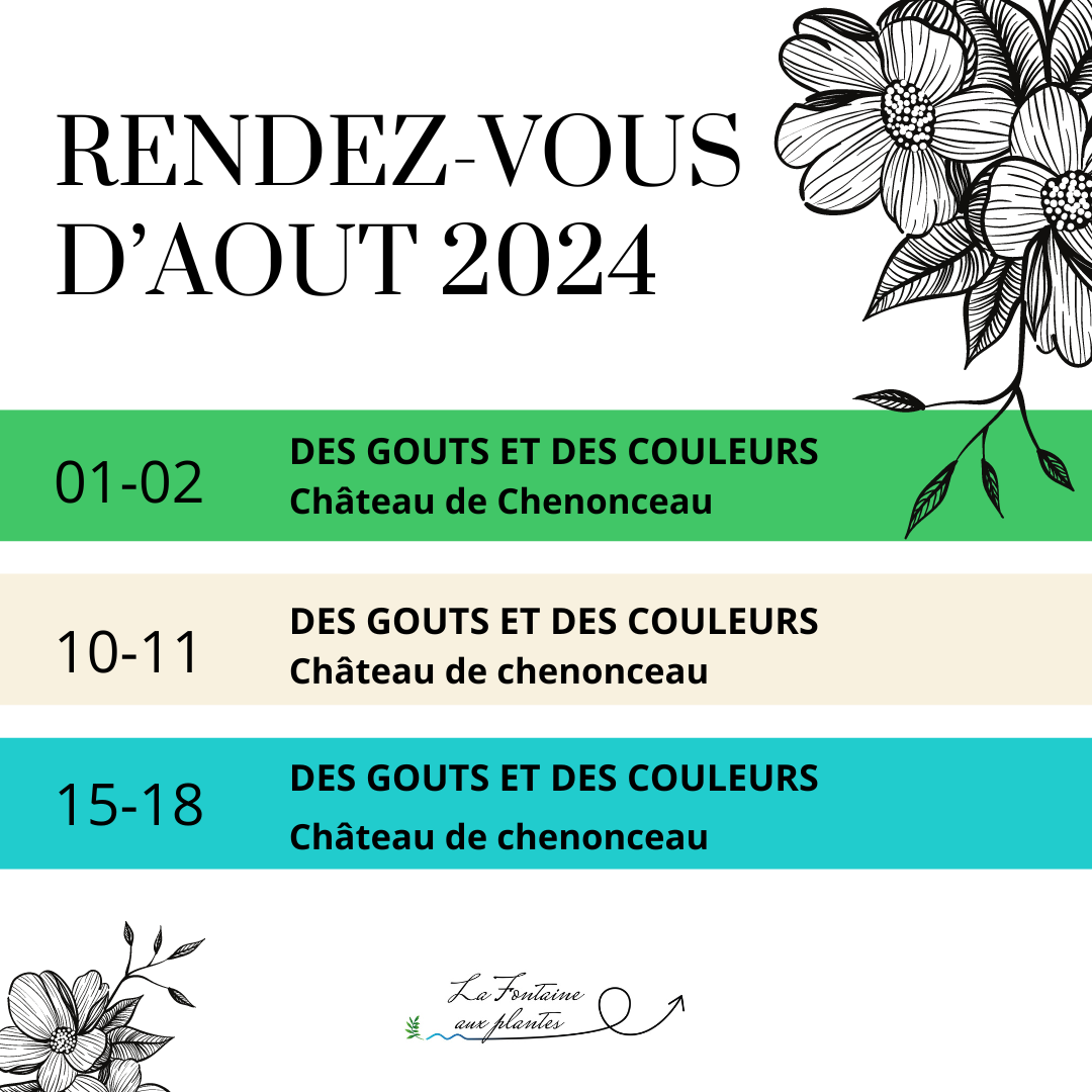 Les actualités du mois d'Août 2024