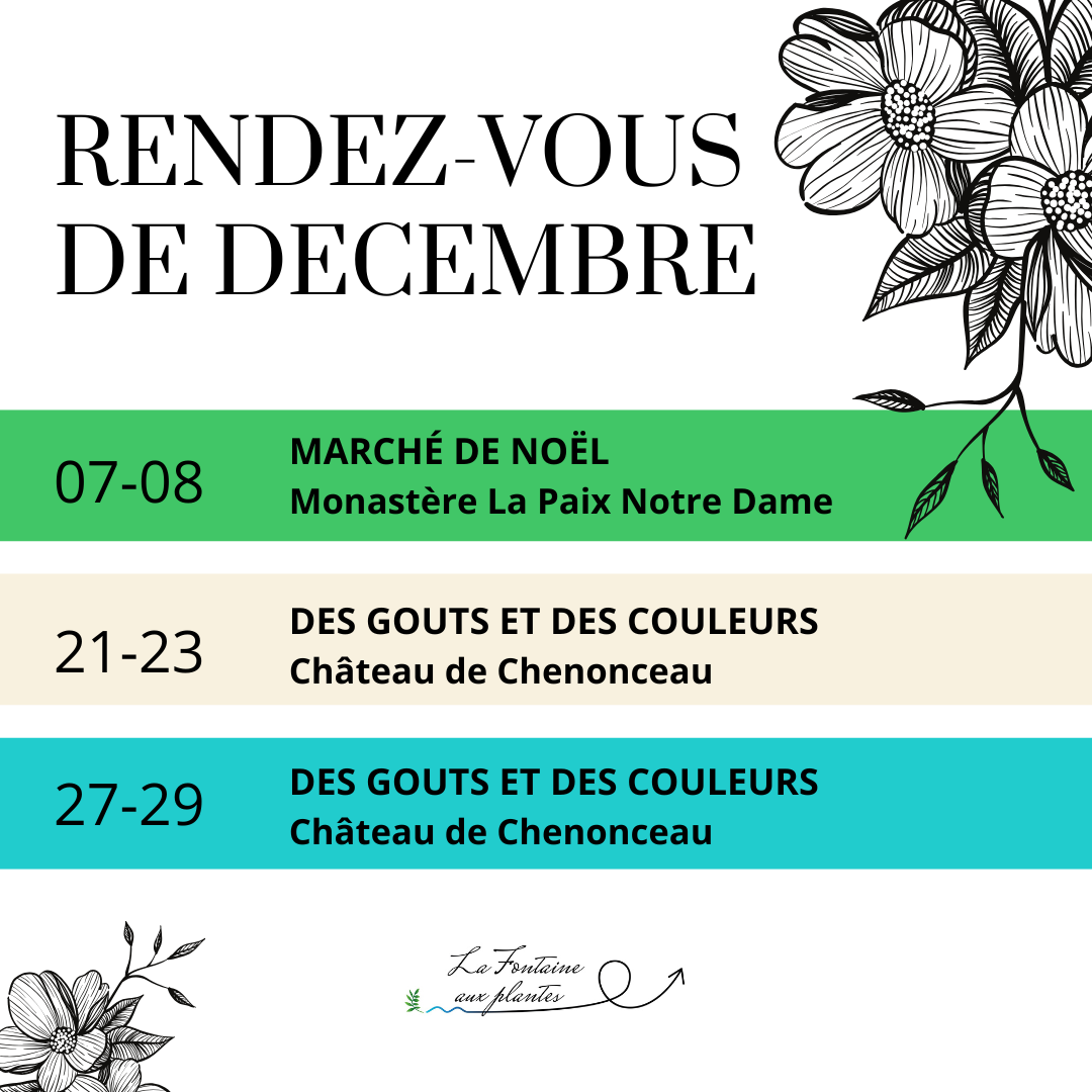 Nos RDV du mois de Décembre🎄