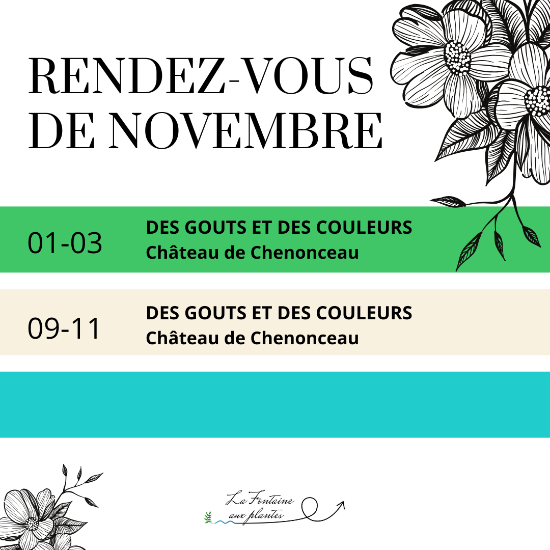 Nos RDV du mois de Novembre