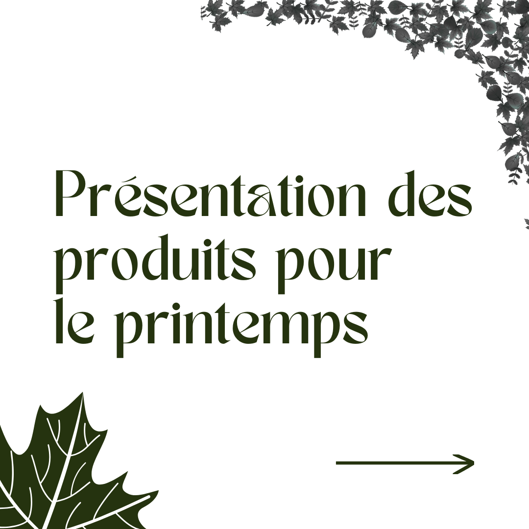 Notre sélection du mois d'Avril: nos produits détox douce