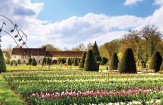 Les RDV au jardin 2024 au Château de Chenonceau autour des 5 sens: