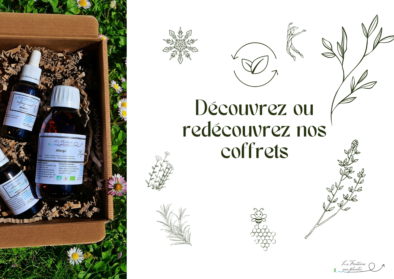 Nos produits du mois de Mai: Nos coffrets printemps et drainant