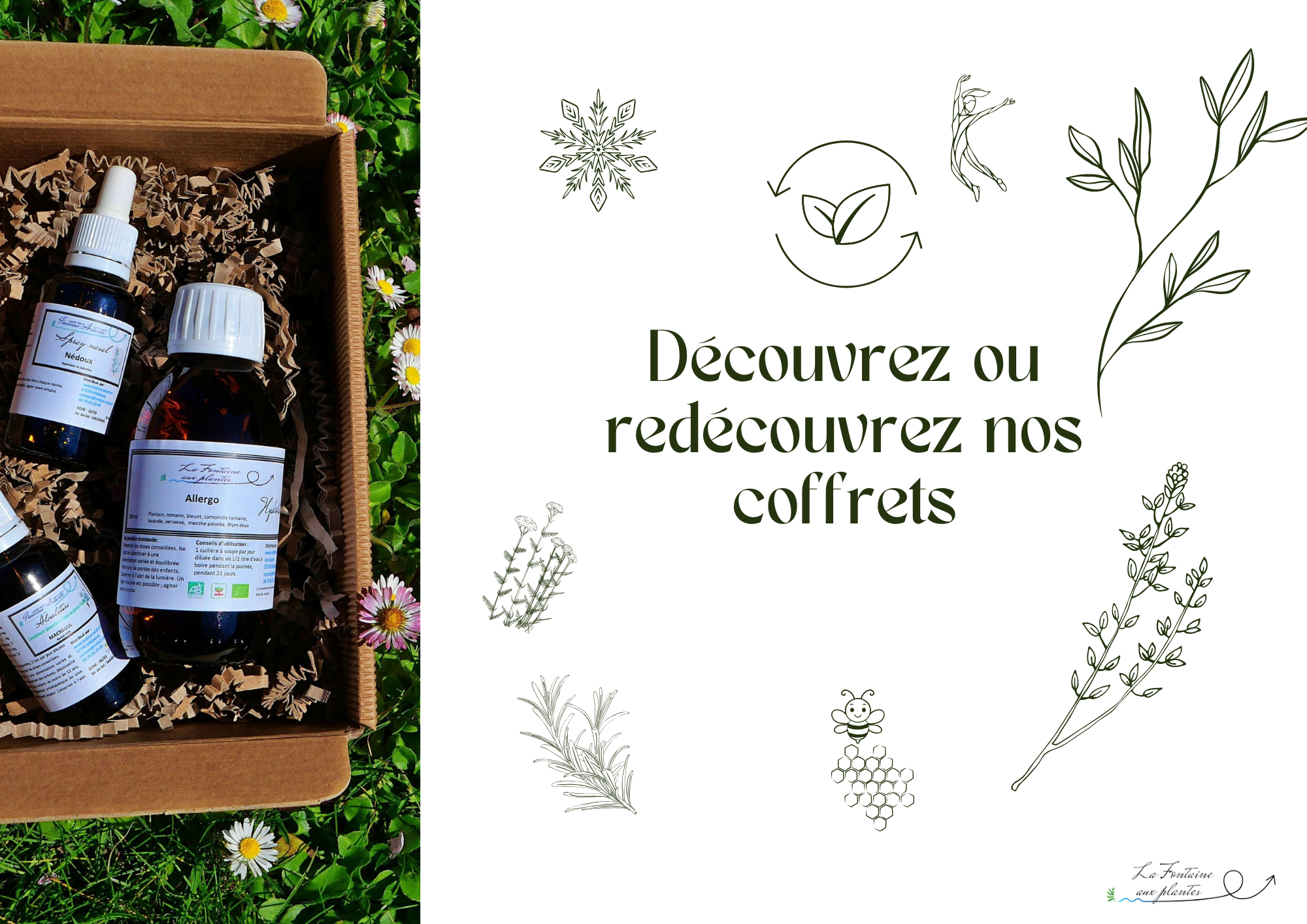 Nos produits du mois de Mai: Nos coffrets printemps et drainant