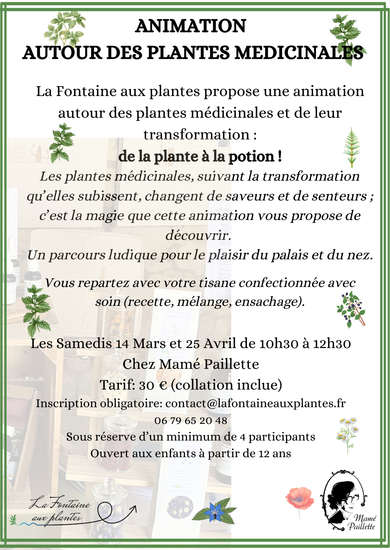 Animation autour des plantes médicinales au salon de thé Mamé Paillette 37250 Veigné