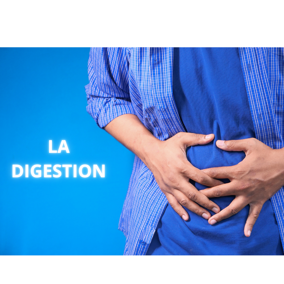 🌿Mai : Le mois du renouveau… digestif !🌿