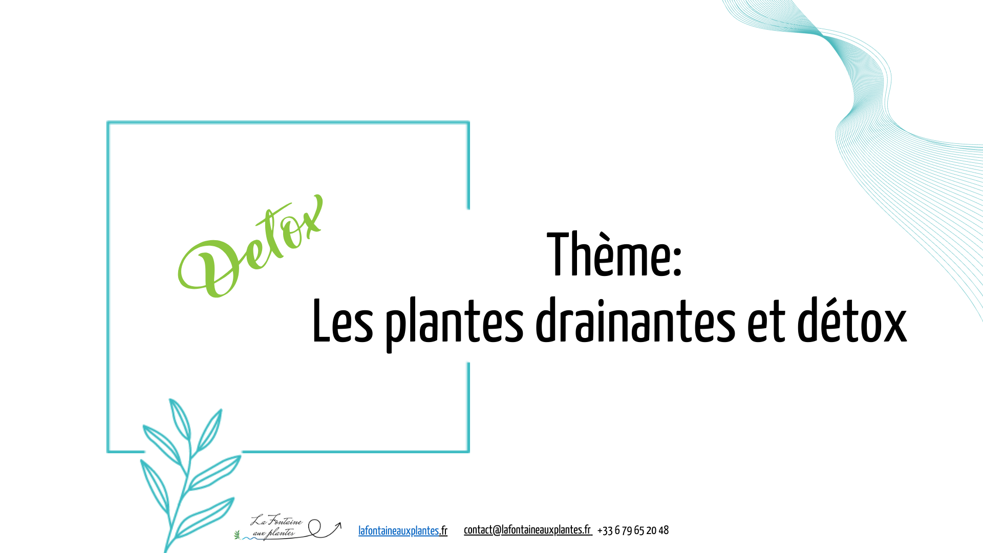 Les plantes qui aident à la détox!