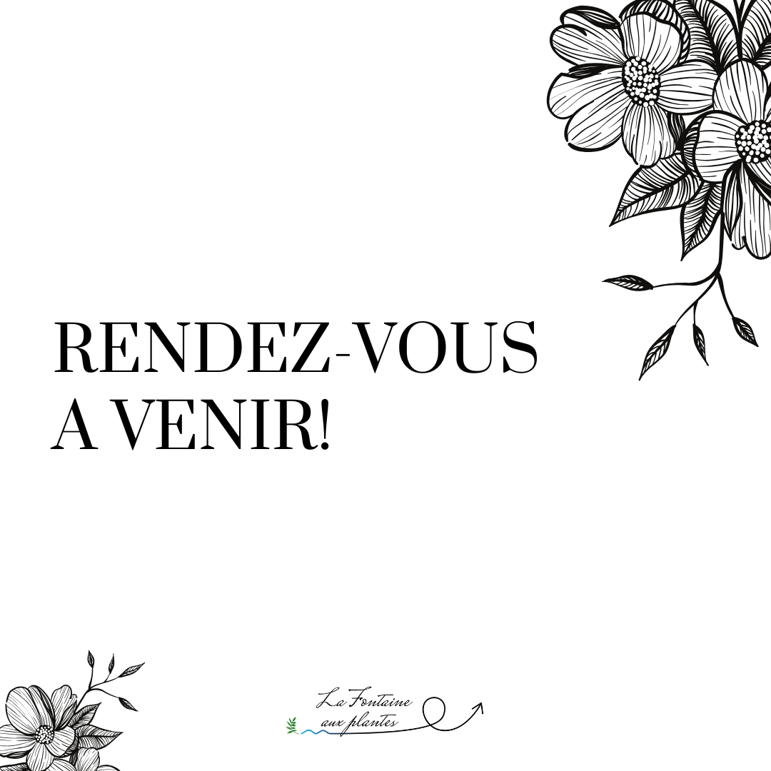 Les RDV à venir, notre coffret spécial Chenonceau!