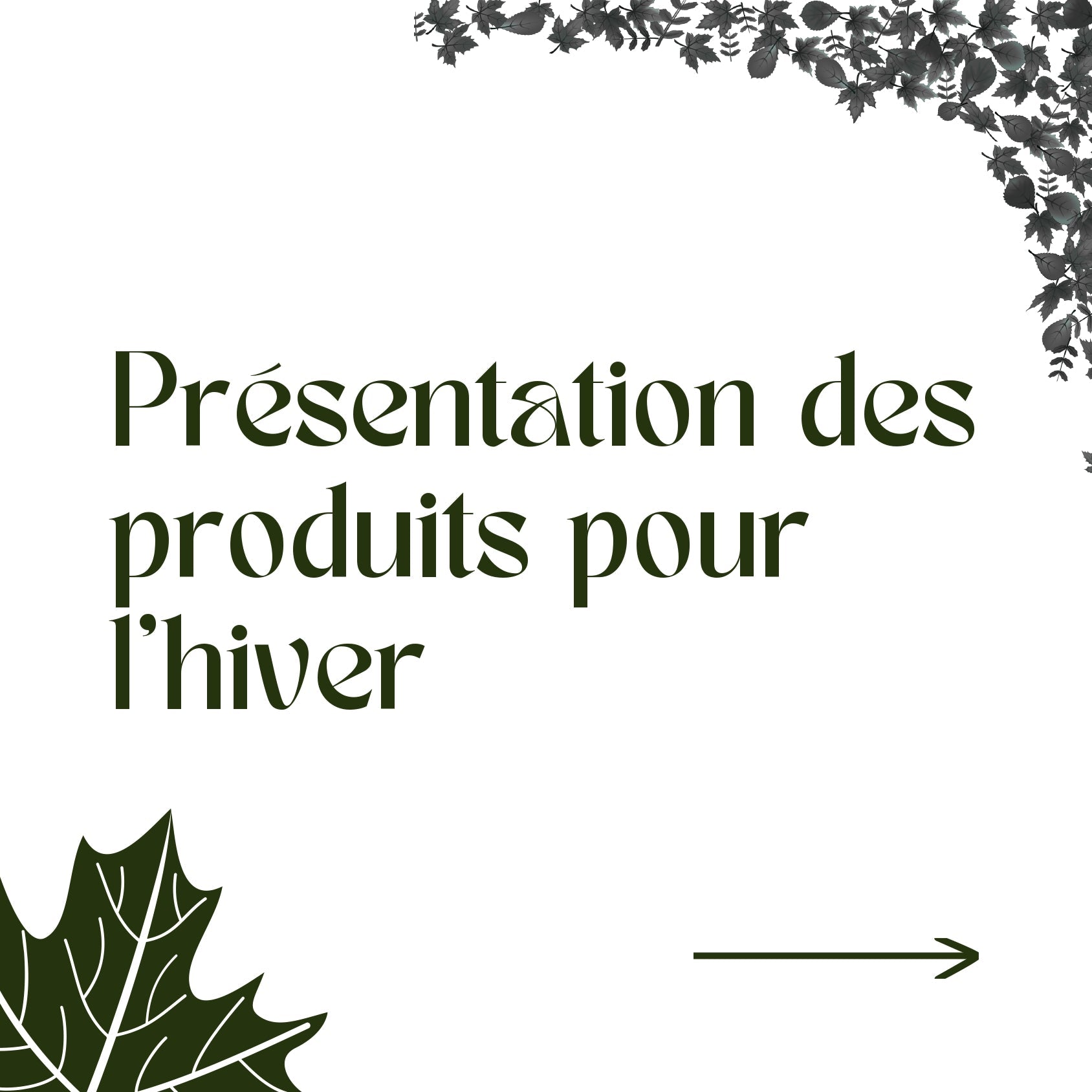 Notre sélection du mois de Janvier: les plantes qui aident à respirer en hiver!