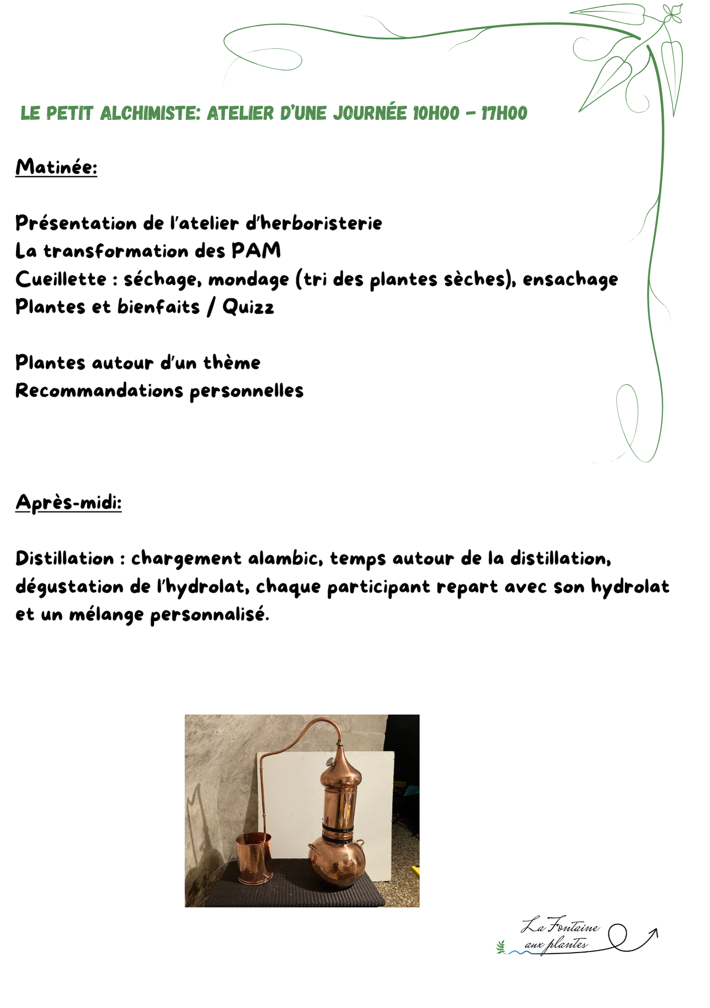 Nos ateliers découverte des plantes médicinales (une demi-journée ou une journée)
