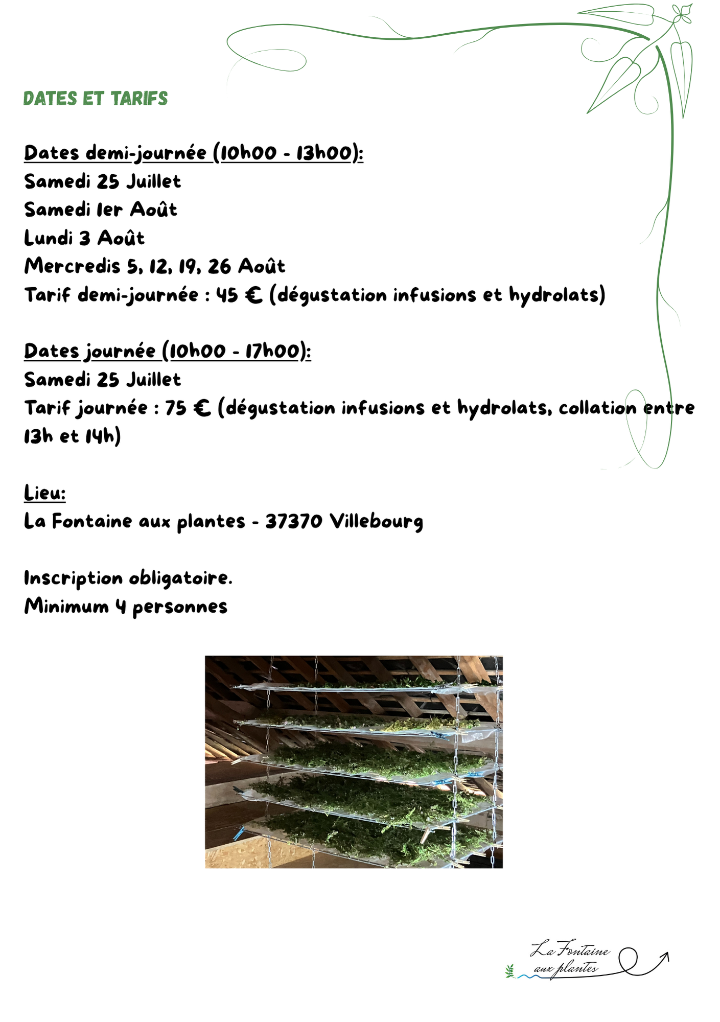 Nos ateliers découverte des plantes médicinales (une demi-journée ou une journée)