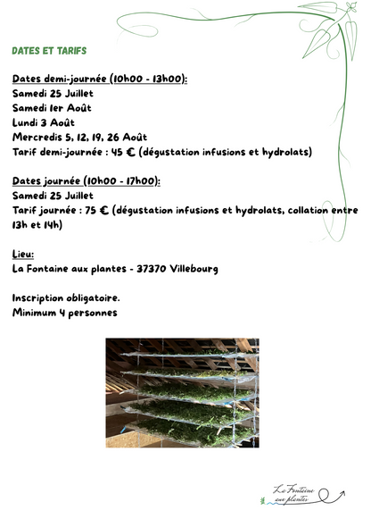 Nos ateliers découverte des plantes médicinales (une demi-journée ou une journée)