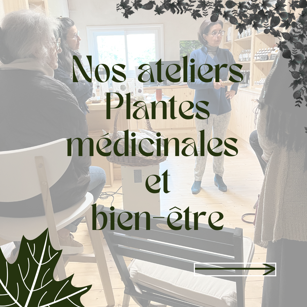 Atelier plantes médicinale et naturopathie
