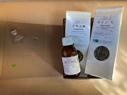 Coffre Noël 2025 Hiver