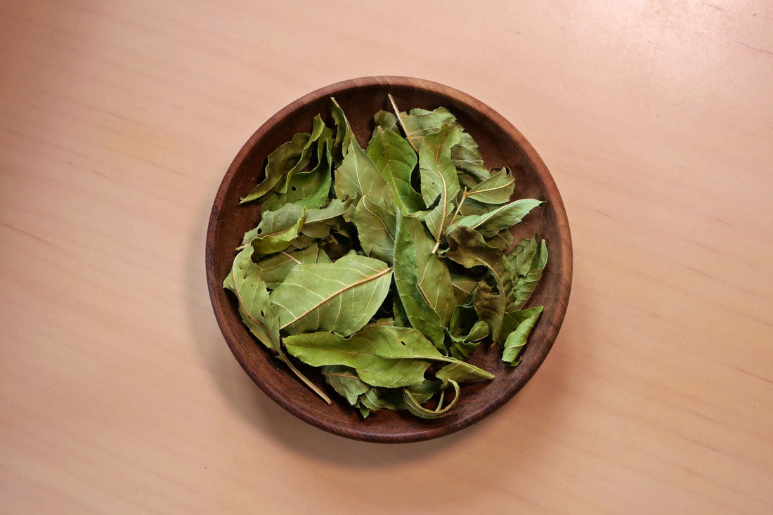 Tisane frêne