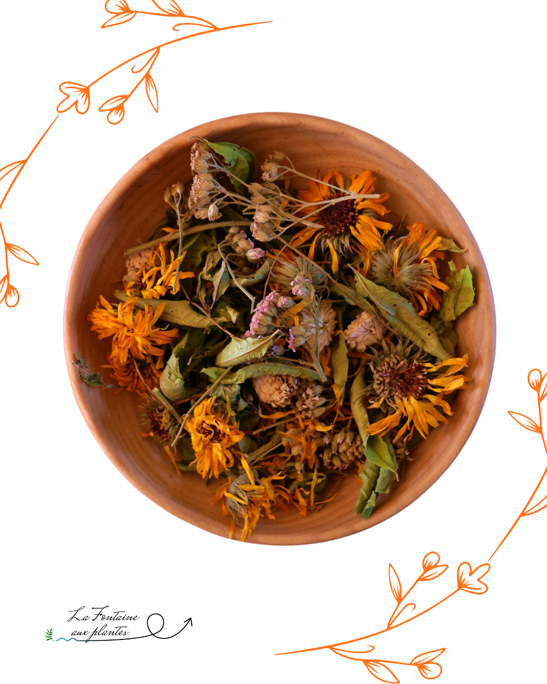 Tisane Chenonceau